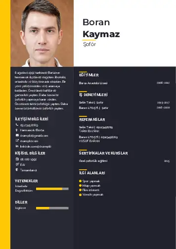 cv indir